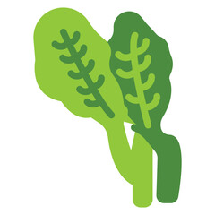 Obraz premium Gai Lan Vector Design Icon Style