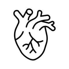 Cardiovascular System Vector Icon
