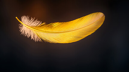 Elegant golden feather with delicate details