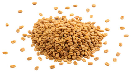 fenugreekon a top view isolated on transparent background png