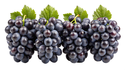 this k youtube image shows isolated on transparent background png