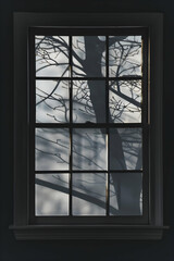 Fototapeta premium Silhouette of a Tree Branches Against a Foggy Window with Soft Lighting in a Quiet Room