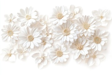A collection of delicate white daisies arranged on a white background.