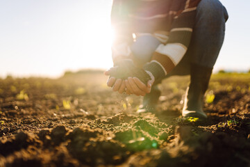 Close- up of the female hands touching dry ground in an agricultural field while analyzing soil...