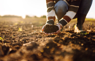 Close- up of the female hands touching dry ground in an agricultural field while analyzing soil during the summer day. Agriculture, gardening, business or ecology concept.