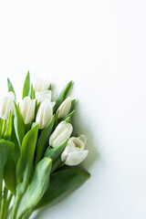 Bouquet of flowers. White Tulip on white background. Beautiful flowers for valentines and wedding scene. Valentines and 8 March Mother Women's Day concept.