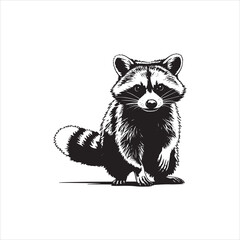 How Long Do Raccoons Live? Wild vs. Captivity