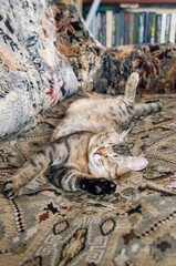 Fototapete bei efototapeten.de bestellen   