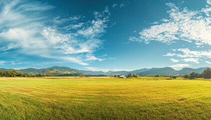 Panoramic view of a vast golden field under a vibrant blue sky with fluffy clouds, mountains in the distance, and a small house.