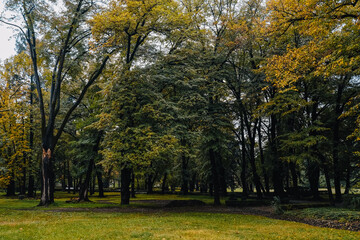 The park and garden of Tsinandali Estate in Kakheti (Georgia) in fall, with autumn foliage