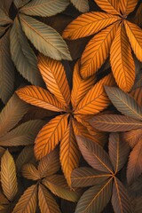 Fototapeta premium Close-up of autumn leaves in various shades of brown and orange, arranged in an overlapping pattern.