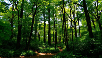  A peaceful green forest with tall trees, offering a beautiful and serene environment that contrasts with the camel and honeybee phenomenon