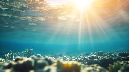 Fototapeta premium Underwater view showcasing vibrant coral reefs illuminated by soft sunlight filtering through ocean water : Generative AI