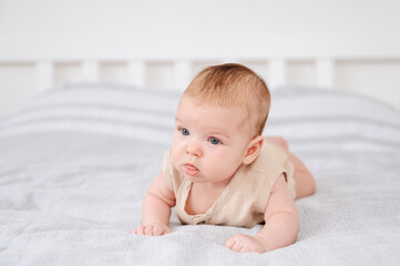 Adorable portrait of a 2-3 month old newborn baby peacefully lying on a blanket in a cozy bedroom...