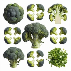 Broccoli Display: Whole Head, Halved & Florets