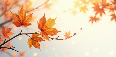 Fototapeta premium Hazels leaves and branches against white background with golden highlights, hazel, foliage