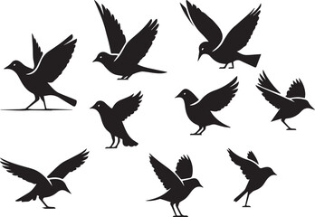 birds silhouette