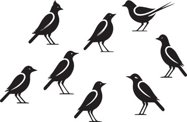 Fototapeta premium birds silhouette