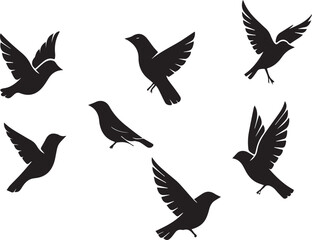 birds silhouette