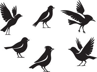birds silhouette