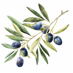 Watercolor painting of a branch with green leaves and blue fruit