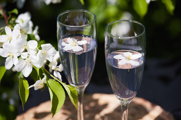 Flowers float in water-filled glasses amidst blooming greenery in springtime