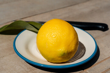 Lemon cut in ceramic plate in nature, lemon juice, lemonade