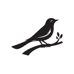 silhouette of a bird