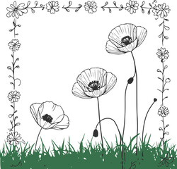 Poppy flowers in continuous line art drawing style. Doodle floral border with two flowers 1.eps