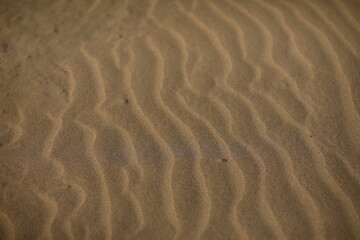 Tottori Sand Dunes on the Sea of ​​Japan, Tottori Prefecture, Japan