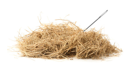Sewing needle in hay on white background