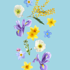 Beautiful spring flowers flying on pastel blue background