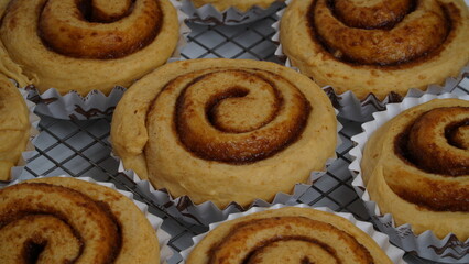 A collection of cinnamon rolls using paper cups and placed on a cooling rack with a white background (isolated white).