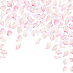 Frame with sakura flowers on background. Spring blooming cherry blossom flowers for Hanami festival. Delicate shades of pink, lilac, lilac, purple petals. Watercolor template for card, poster, web