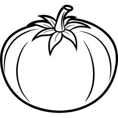 Modern Tomato Line Art Graphics