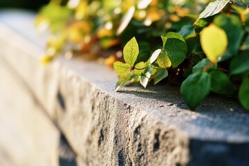 Close-up shot of a plant growing on a ledge, possibly in an urban or industrial setting