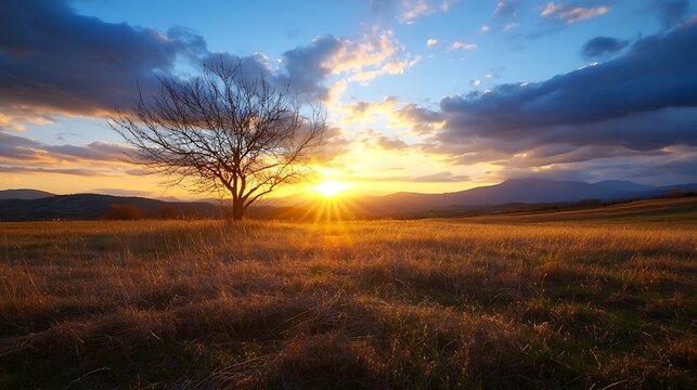 Stunning sunset view over a grassy field with a lone tree silhouetted against a colorful sky displaying nature's beauty : Generative AI - Powered by Adobe