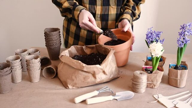 a girl puts soil into a pot for replanting flower plants with a garden shovel. she has a lot on the table