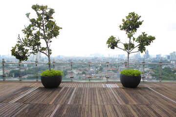 City Rooftop Garden
