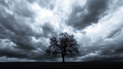 A solitary tree stands tall against a dramatic sky filled with dark clouds foretelling a stormy day : Generative AI