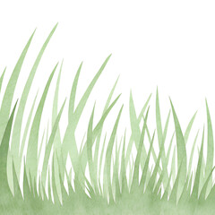Fototapeta premium Watercolor Grass Illustration – Botanical Design