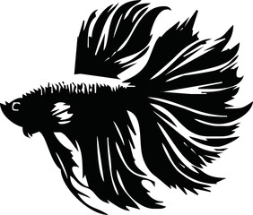 beta fish vector silhouette