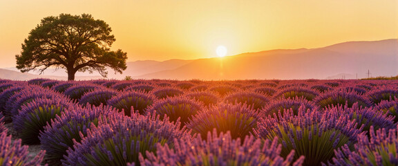 Fototapeta premium Serene lavender fields at golden hour with a silhouetted tree, tranquility