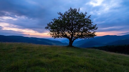 Obraz premium Majestic Lone Tree on Hilltop Overlooking Serene Valley at Twilight : Generative AI