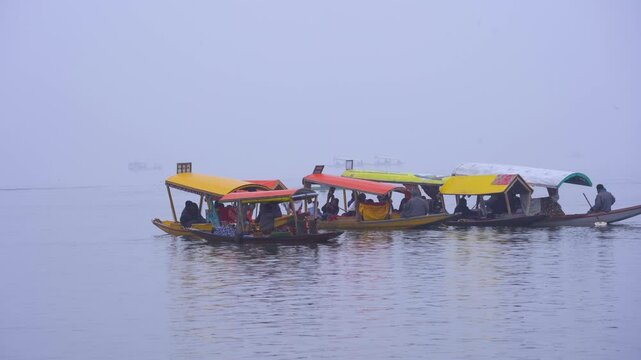 group of colorful wooden shikara boats on the water of dal lake in Srinagar Kashmir on a foggy winter morning ready for the floating vegetable market a common commerce