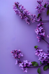 Delicate lilac flowers arranged on a soft purple background, showcasing their beauty and elegance
