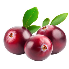 Obraz premium Fresh Cranberries Red Berries, Leaves, Juicy, Antioxidant, Healthy, Vitamin C, Thanksgiving, Organic