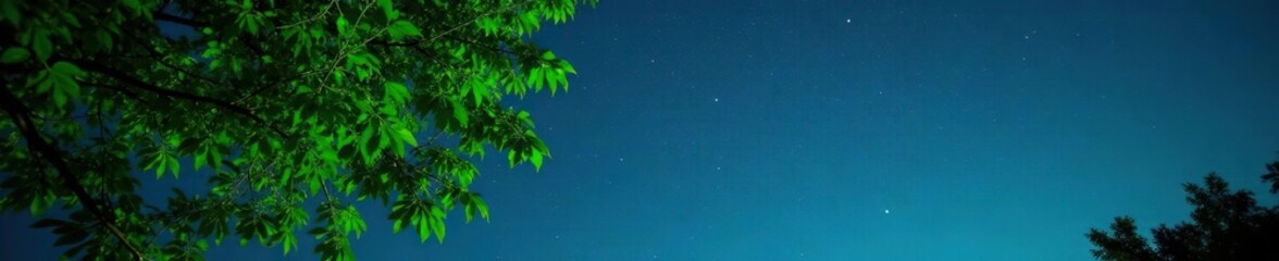 Obraz premium Emerald green foliage against dark blue night sky, emerald green leaves, nighttime atmosphere, tree branches