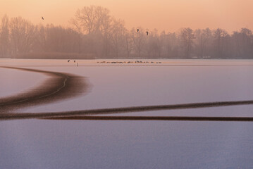 Zimowy krajobraz na stawach w Ligocie koło Czechowic Dziedzic, Śląsk Polska. © Elżbieta Kaps