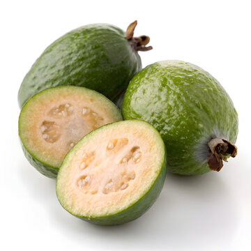 Avocado on white background
